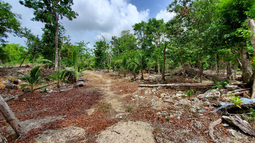 Terreno En Playa Del Carmen Titulado Con 10 Hectareas A Un Lado De Parque Xenotes.