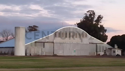 Alquiler De Galpón, Planta, Depósito, Celda, En Quequén 2500m2 Para Uso Mixto: Cereales