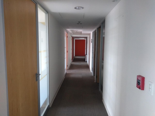 Imagen 5 de 24 de Polanco Cdmx Piso Completo De Oficina Acondicionado En Rent