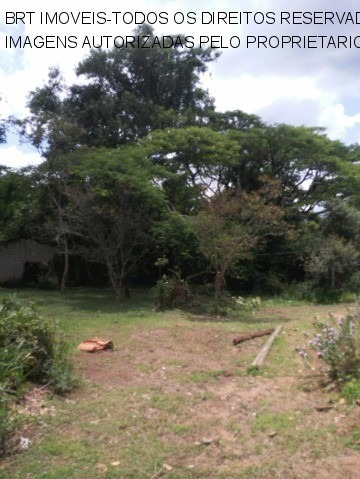 Imagem 10 de 12 de Terreno - Te00133 - 67747715