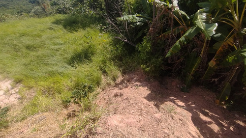 Vendo Chácara Em Salto De Pirapora (quinta Do Netinho)