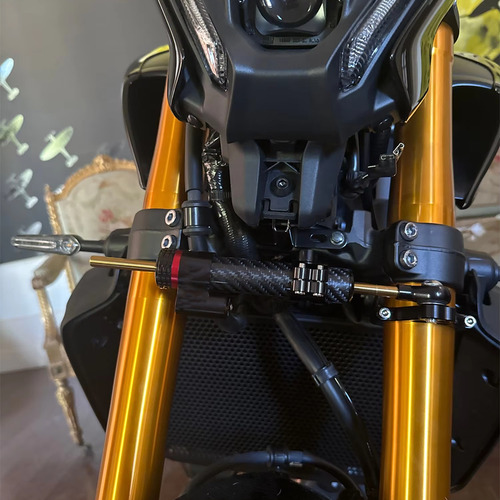 Soporte De Amortiguador Dirección Para Yamaha Mt09 2021-2024 Color Black + Bracket