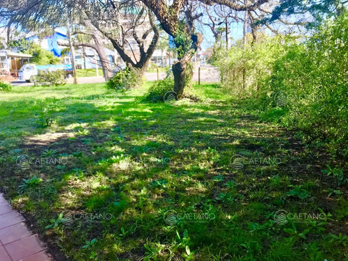 Punta Del Este, Área Comercial Pda. 5