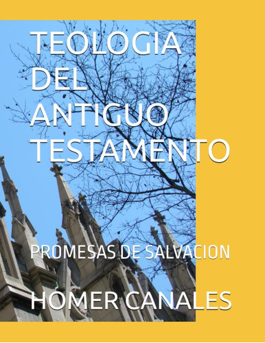 Libro Teologia Del Antiguo Testamento Promesas De Salvacion