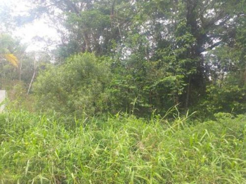 Imagem 4 de 5 de Terreno De Chácara No Bairro Indaiá, Em Itanhaém=referência: 6530
