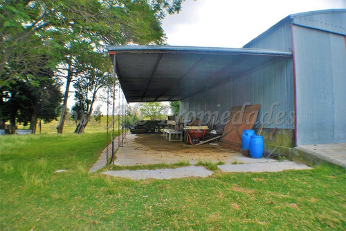 Imagen 3 de 14 de En Venta Campo De 137 Ha Colonia Del Sacramento