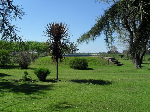Imagen 2 de 24 de Vendo Casa De Campo. 3 Has. Oportunidad!! En Brandsen A 90 Km. De Caba. Escritura Al Día. Planos De Las Construcciones. Dueño Directo