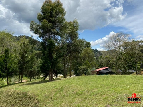 Terreno En Venta En Rionegro - Vereda Llanogrande.