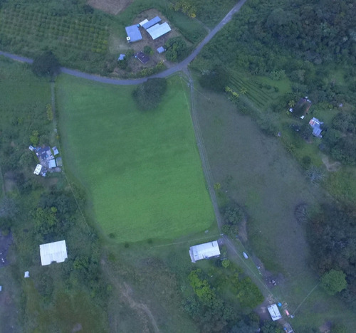 Imagen 1 de 11 de Finca En Venta El Pao La Victoria 15/9/20