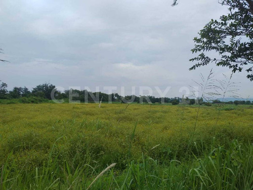 Terreno Rustico En Venta Miacatlán Mor.