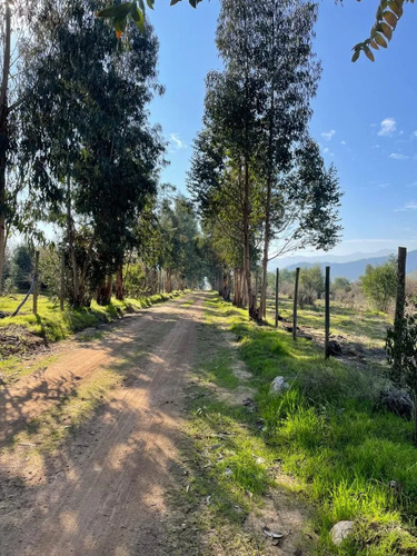 Terreno 151 Ha Con Aguas Inscritas Los Guindos, Melipilla