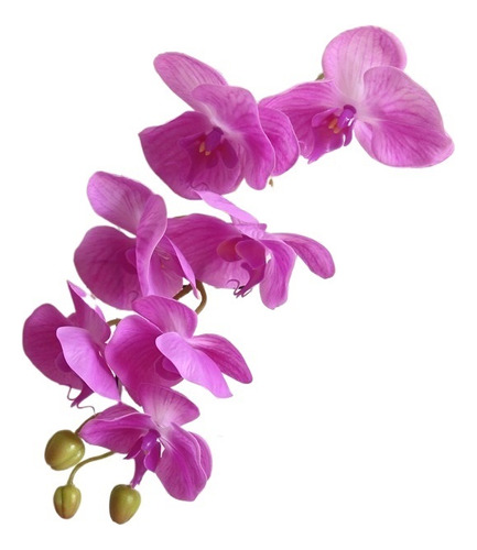 Gran Látex Impresión 3d Orquídeas Blancas Flores Artificiale