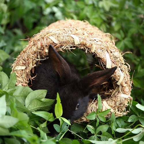 Grass House Tunnel Hutch Cabana De Tecido Para Dormir Ou Dor