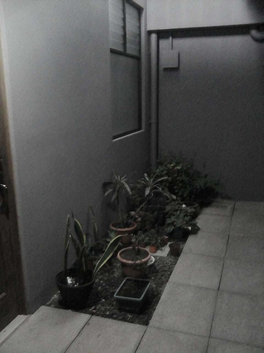 Alquiler De Estudio 10 Min Alajuela Centro 130.000,00