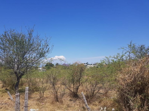 Imagen 1 de 7 de Terreno En Venta Plan De Ayala