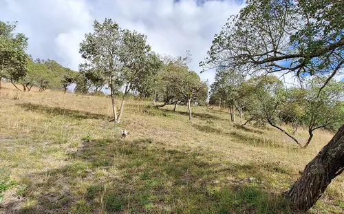 Lote En Venta En Vereda Yerbabuena. Cod V11970009