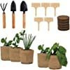 Kit De Inicio De Jardín Para Interiores Con 3 Mini Herramien