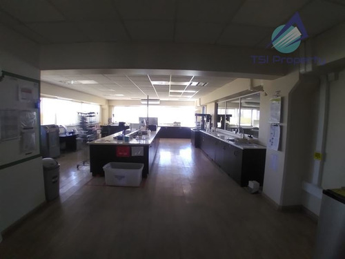 Imagen 18 de 30 de Industrial 3.000 Mt2 En Arriendo En Pudahuel