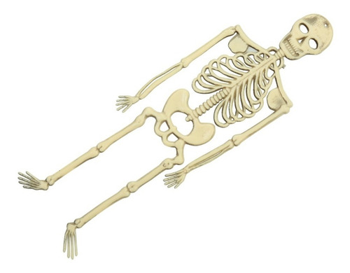 Imagen 1 de 1 de Decorativo Esqueletos Planos Halloween