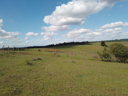 Vendo Excelente Parcela 5000 M2, Ubicada En Lomas De Angol.
