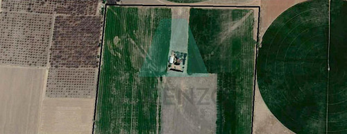Oportunidad¡¡ Venta De Rancho Agricola En Poblado Del Sauz, Fergo