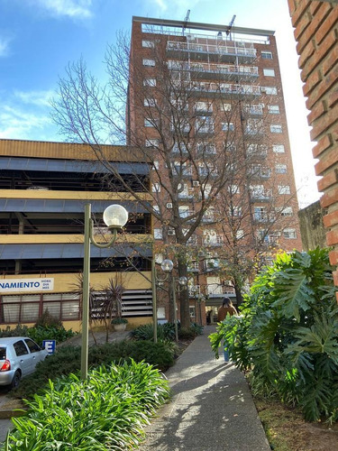 Imagen 2 de 24 de Piso En Planta Baja De 6 Ambientes En Morón Centro