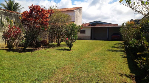 Imagem 4 de 8 de Lindo Terreno Murado E Com Portão - Te00002 - 34931841