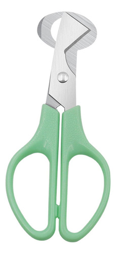 Aa De Cáscara De Huevo De Codorniz De Acero Inoxidable,