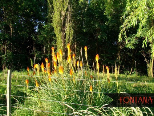 Imagen 2 de 3 de Terreno En Venta En Juana Koslay
