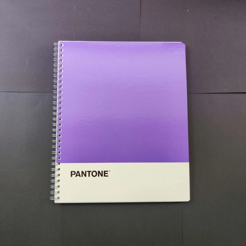 Cuaderno Universitario Rhein Colección Pantone