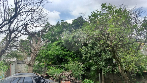 Imagem 13 de 16 de Terreno. 1640 Metros Quadrados. Casa Verde. - Reo175354
