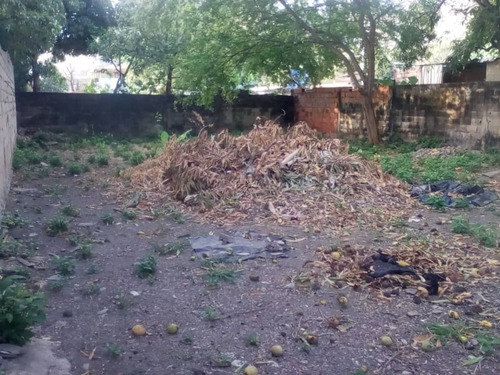 Imagen 11 de 12 de Se Vende Casa Con Buen Terreno La Mejor Zona Del Limon Potencial A Contruir 04243785803
