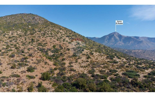 Para Inversionistas 78 Hectáreas En Valle De Caleu