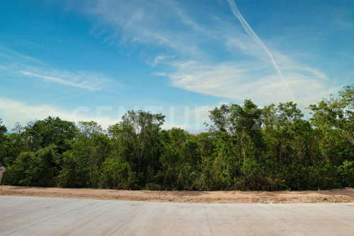 Terreno En Venta, Xpu-ha, Tulum