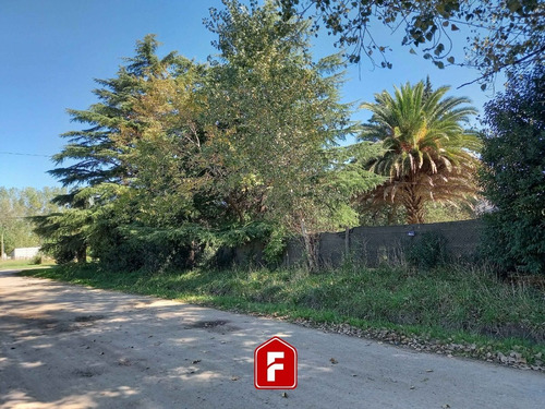 Imagen 2 de 5 de Venta Lote De Terreno En General Belgrano - 12 Por 35 (420 M2) C/ Todos Los Servicios Y Escritura.