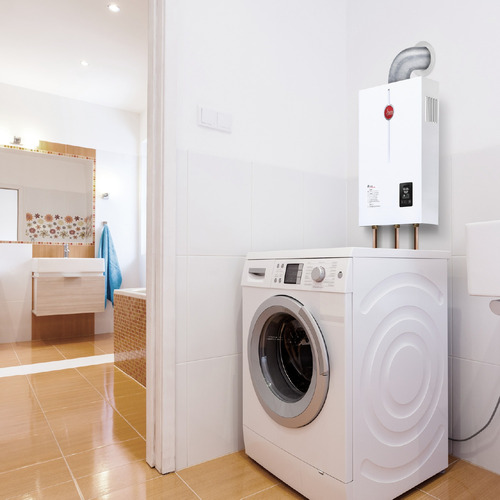 Calentador De Agua Rheem Instantáneo 25 Litros/min A Gas Nat