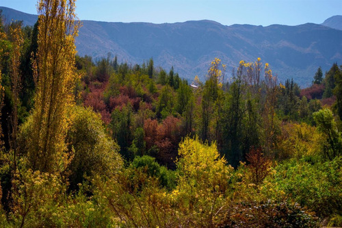 Parcela En Venta En San Francisco De Los Andes