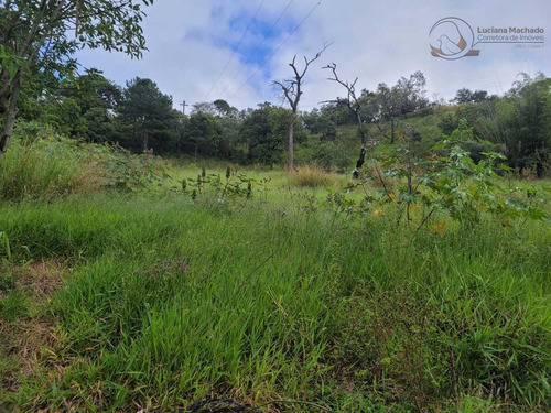 Imagem 7 de 9 de Terreno Comercial Para Venda Em Atibaia, Belvedere - Te00271_2-1412892