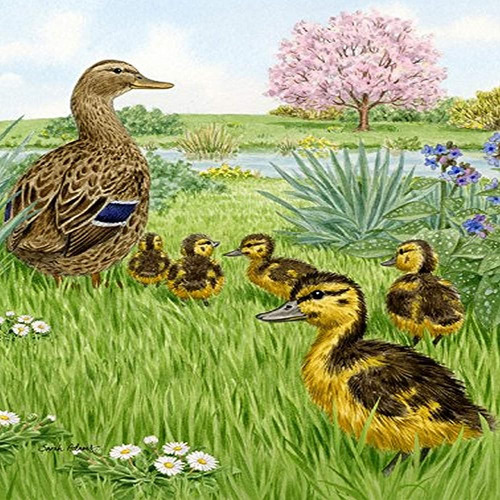 Caroline's Treasures Asa2105gf Pato Mallard Hembra Y Patitos