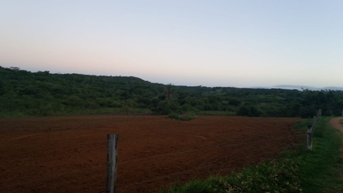 Fazenda Para Venda Em Uberaba Com 218 Hectares, 3 Otimas Casas, Nascentes, Córrego E Rio Na Propriedade, Formada Em Pastagem - Fa00001 - 33262166