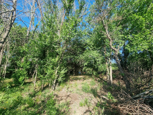 Venta De Lote Con Escritura Molinari Cosquin
