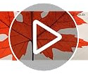Juego De 4 Fundas De Almohada Decorativas De Otoño