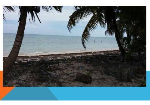 Terreno En Venta En Riviera Maya Folio 2821 En Punta Allen 24,700 A $800 M.n. M2