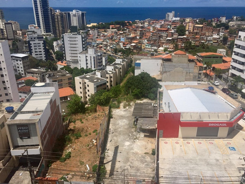 Imagem 2 de 6 de Terreno Via Principal Avenida Cardeal Da Silva