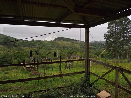 Imagem 7 de 15 de Sítio / Chácara Para Venda Em Mariana Pimentel, Linha Alves - Mariana Pimentel, 2 Dormitórios, 1 Banheiro - 1262_1-2191798