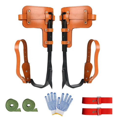 De Escalada Em Árvores Com Tiras De Luvas Equipamento De