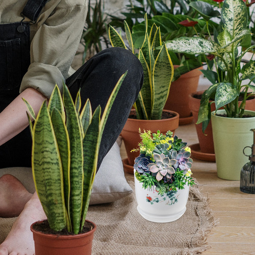 Contenedores De Jardinería, Plantas De Interior Y Macetas