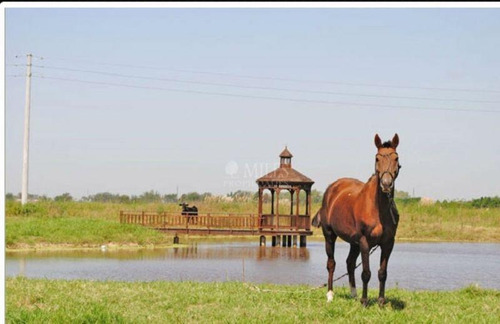 Imagen 2 de 6 de Lote En Venta En Haras San Pablo - General Rodriguez