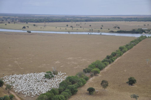Fazenda À Venda, 6.000 Há Por R$ 100.000.000 - Rural - Barra Do Garças/mt - Fa0227