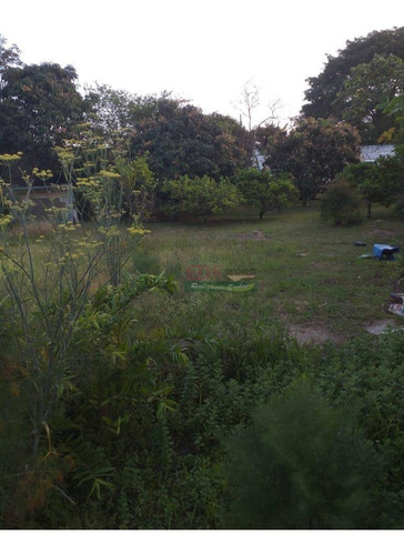 Imagem 13 de 14 de Chácara Com 3 Dormitórios À Venda, 2500 M² Por R$ 990.000 - Jardim Chácara Méa - Suzano/sp - Ch0419